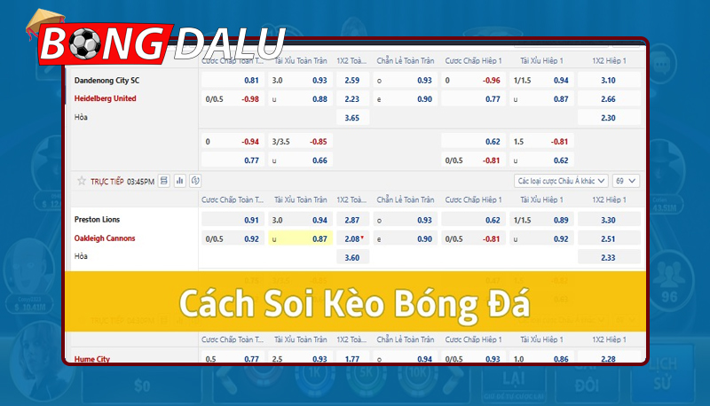 Hướng dẫn cách soi kèo cá độ đá banh luôn thắng